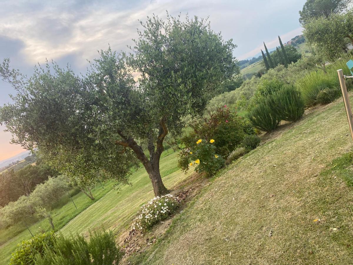 Agriturismo Palazzo Val Del Sasso Villastrada (Umbria) Exterior foto
